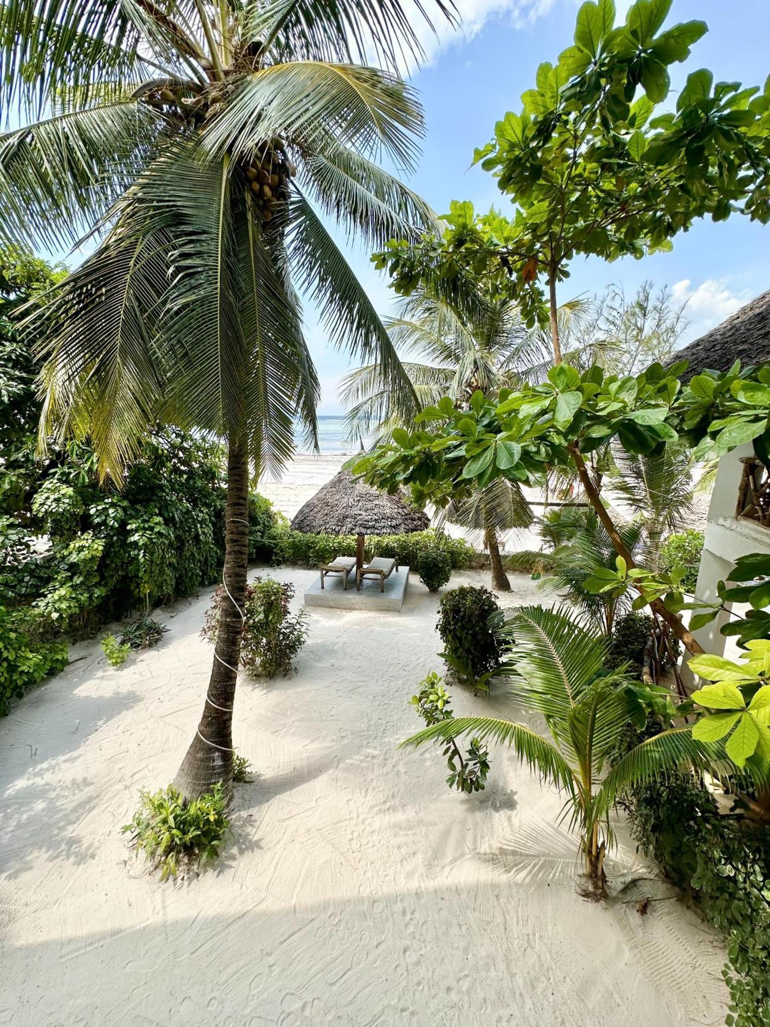 Hebe Bungalows Lodge Matemwe  Exterior photo